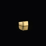 Load image into Gallery viewer, Oppulent Silver Suave