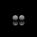 Load image into Gallery viewer, Femme Fatale Zircon Studs
