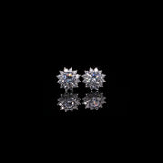 Zirconia Caprice Impression Studs