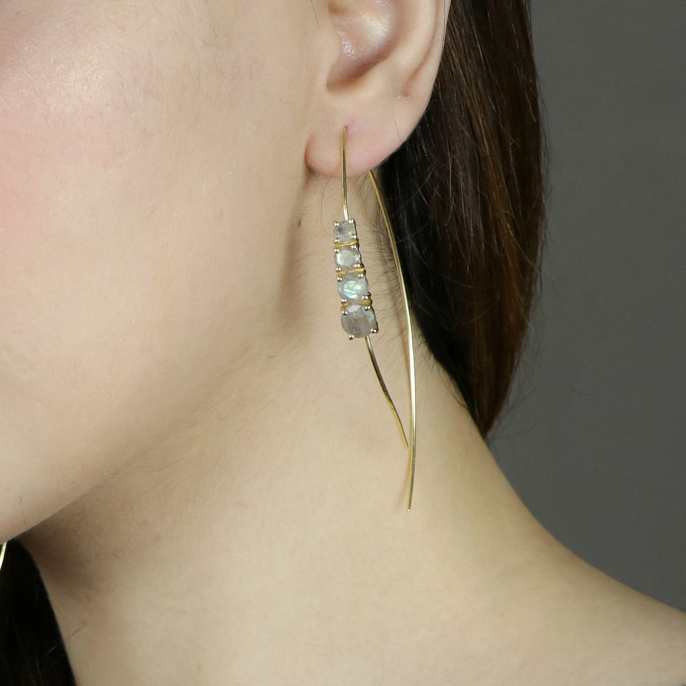 Labradorite Fish Hook Style Earrings