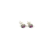 Garnet and  Cubic Zirconia Women's Stud Earrings